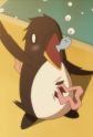 Penguin, Bakuhatsu