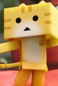 Kotora