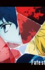 Fate/strange Fake (Shin Series)