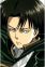 Levi