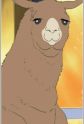 Llama
