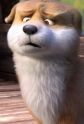 Dudou