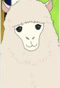 Alpaca