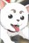 Sadaharu