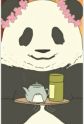 Panda, Mei Mei