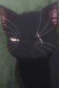 Kuro