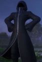 The Master of Masters