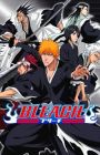 Bleach